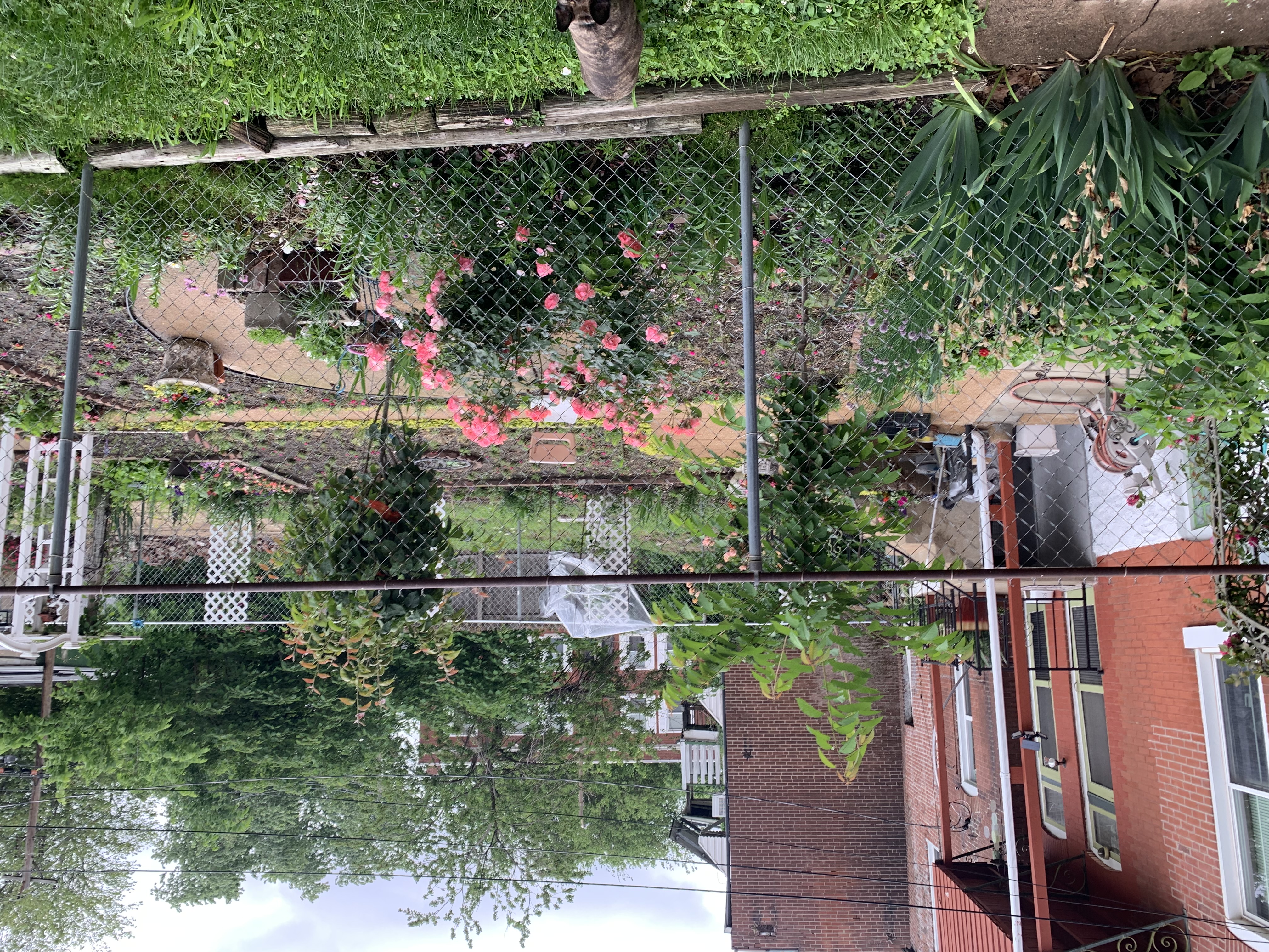 ./2022/06 - St Louis/05 - Day 5/20220525-120904626.JPG